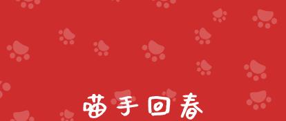 刚当铲屎官如何养英国短毛猫,圆脸猫咪养成手册铲屎官快来学习