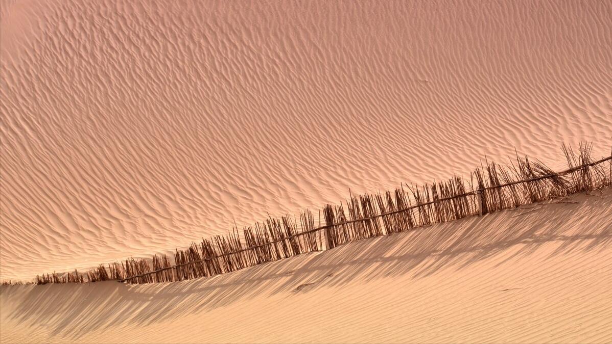 每天入账16亿！抱着印钞机是什么体验？沙特王储：不想卖油了