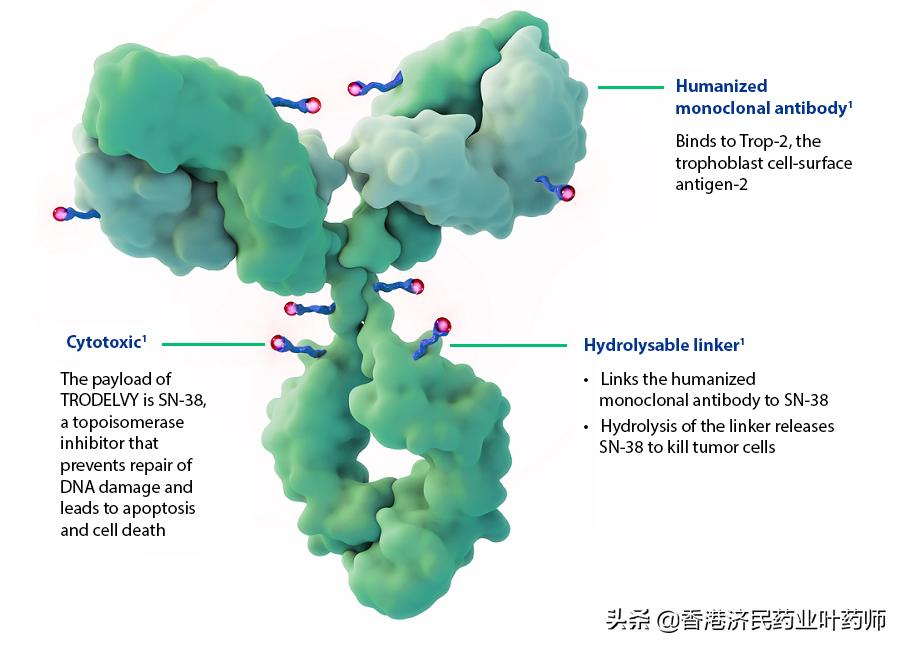 三阴性乳腺癌brca突变抑制剂,三阴性乳腺癌新药trop2