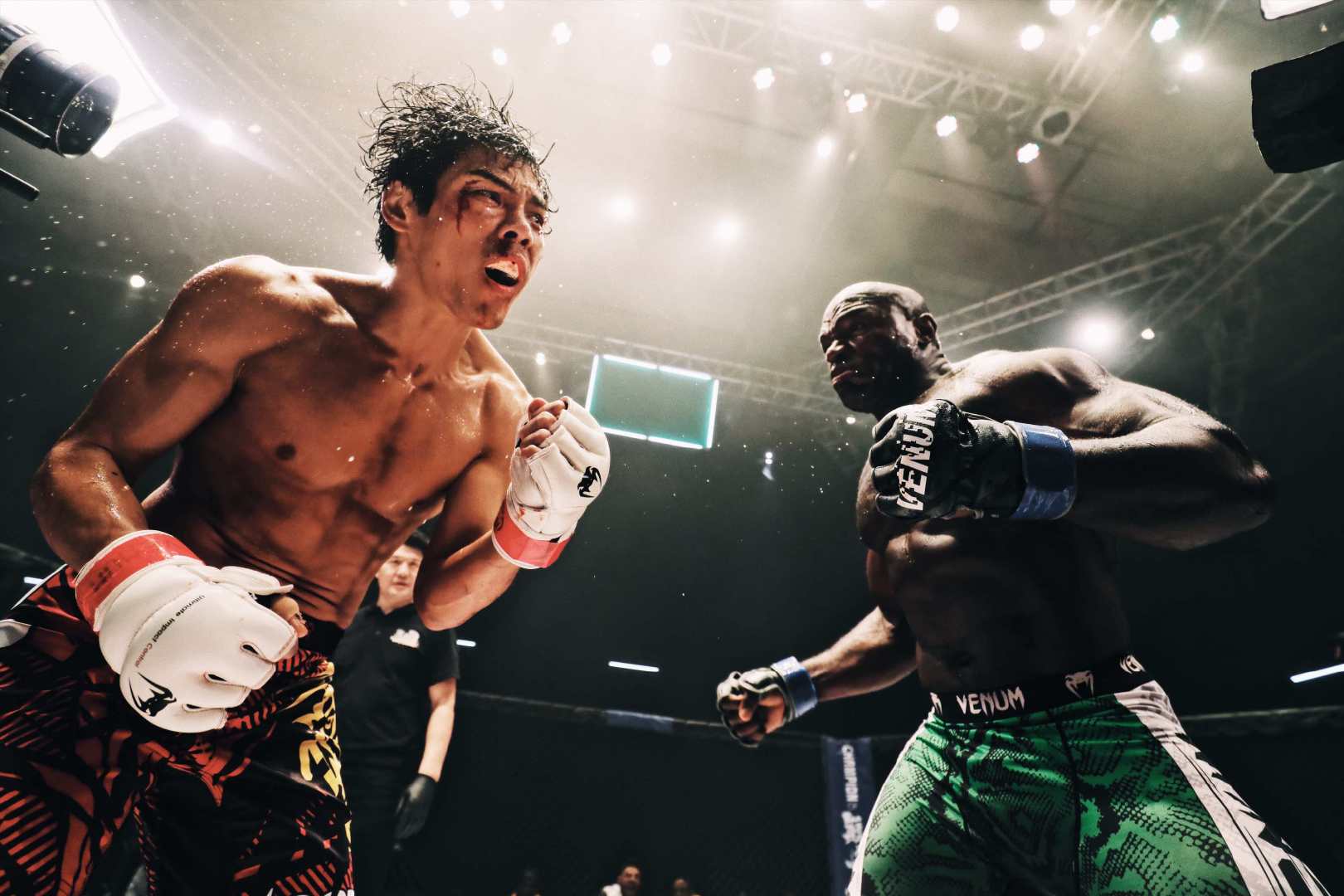 向佐健身练腰,向佐一身肌肉怎么锻炼的