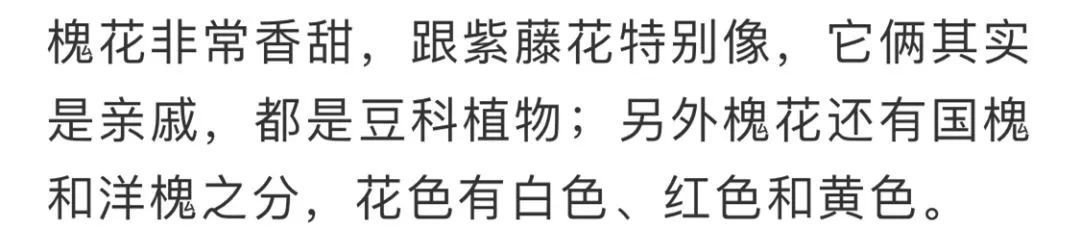 看到花的时候,不知是什么花?那就收下这份百花图谱