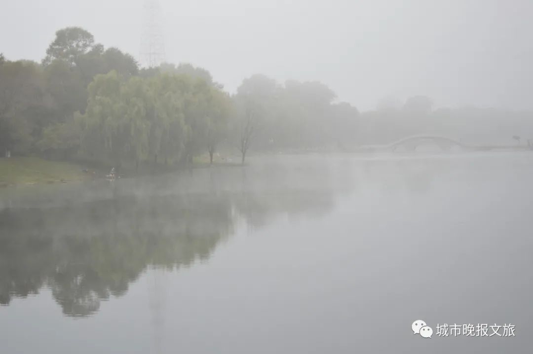 城晚拍拍丨落日余晖