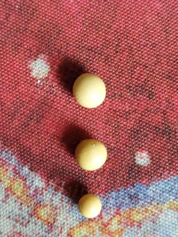 纳豆制作的工艺要点,纳豆制作需有氧还是无氧发酵