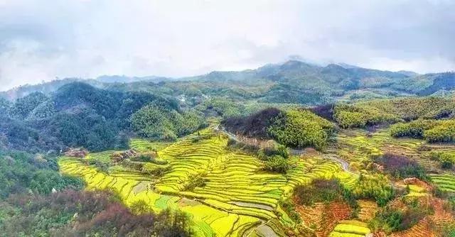 安徽春天去哪看花,安徽春天赏花攻略景点推荐