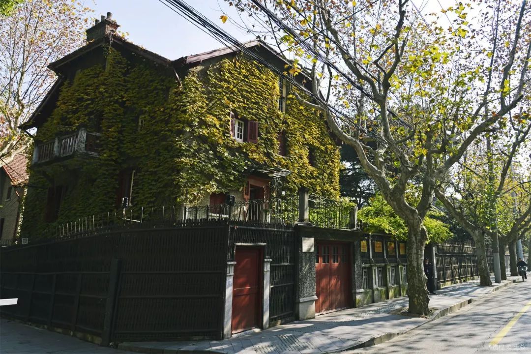 上海十大网红马路,魔都网红一条街