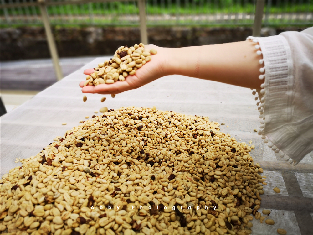 印尼苏门答腊岛好玩的地方,印尼苏门答腊岛海岛