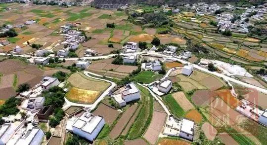 厉害了我区多家企业获省级殊荣,厉害了成都5家企业入围国字号