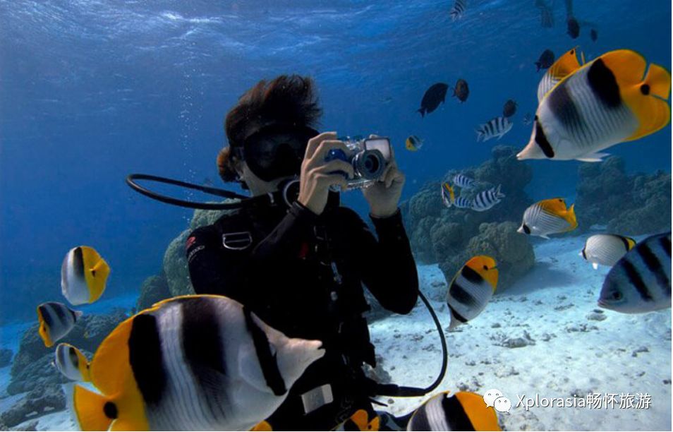 行程攻略|六天五夜不止有美城新山,还有透如玻璃的刁曼岛