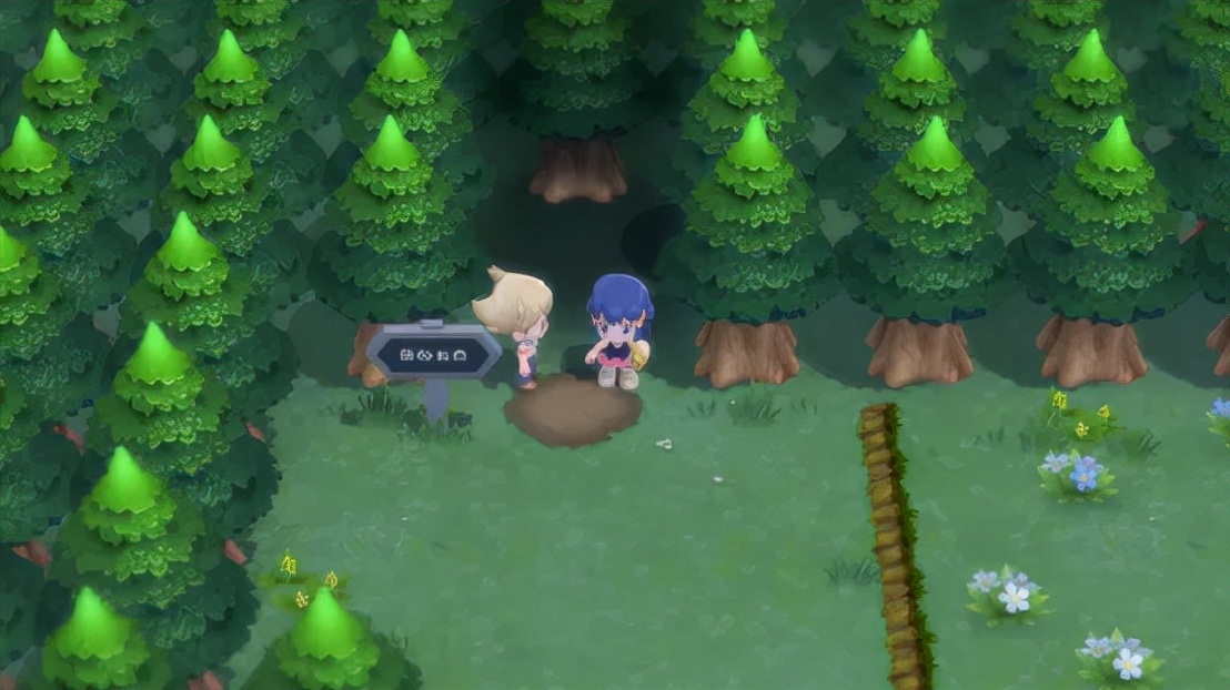 宝可梦晶钻明珠区别,宝可梦晶钻明珠