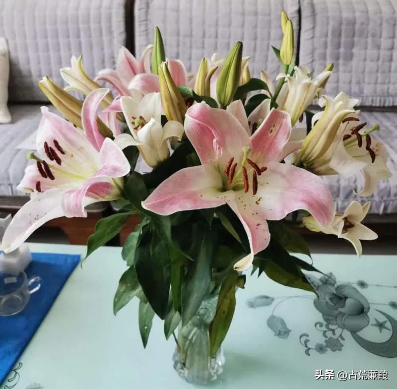 立德树人行胜于言,立德树人师者为范