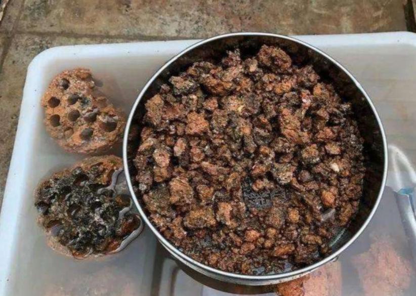 盆栽植物怎么浇水土不流失,盆栽里的土有点板结