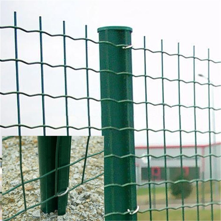 果园养鸡围栏网最便宜最好最实用,养鸡用什么围栏合适