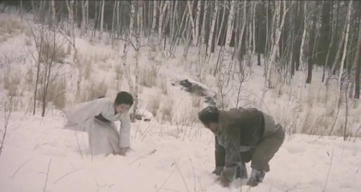 根据真实事件改编的四部屠杀电影,根据真实事件改编电影欧美