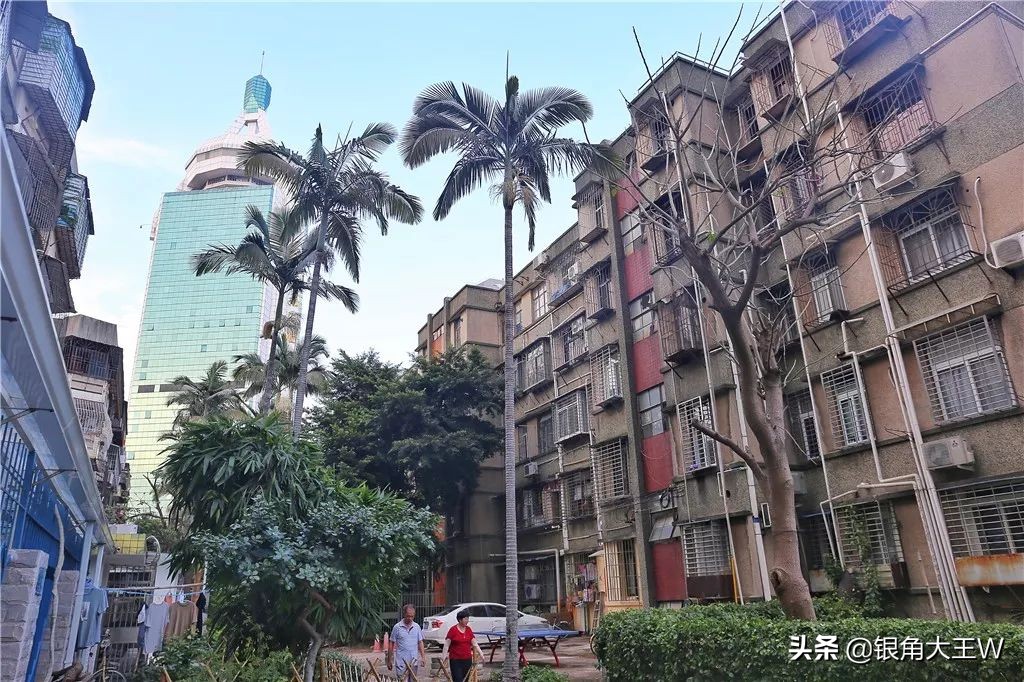 老厦门冷知识大全,老厦门讲解厦门