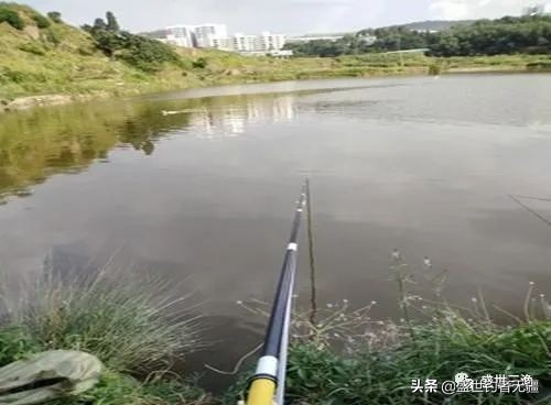 台钓入门知识及作钓技巧,台钓技巧之钓鱼新手入门知识