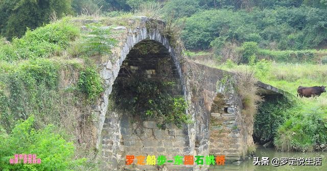 广东罗定历史古城,广东罗定的历史有多悠久