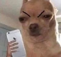 舍友喝酒吻戏,舍友喝多后跟我撒娇