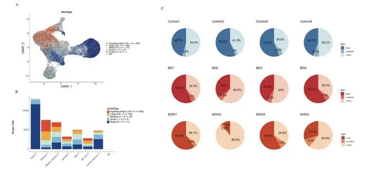 脑科学日报:“老年痴呆”要改名了?青年型痴呆的发病率超乎想象