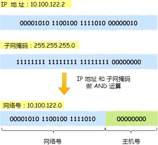 ip的基础知识大全,ip基础知识快速入门第四讲