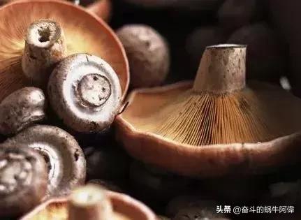 运动后肌肉酸痛马上停止运动,如何改善运动之后肌肉酸胀