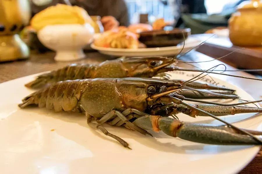 上海788元的海鲜自助到底值不值,上海海鲜自助第一名