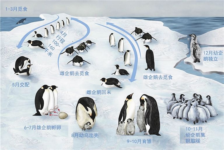 抢走人家的小孩,抢走别人的宝贝女儿