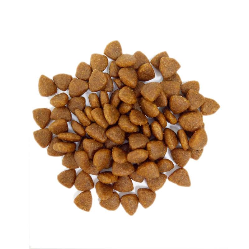 怎么给猫咪选择合适的猫粮,怎么挑选好的猫咪猫粮品牌