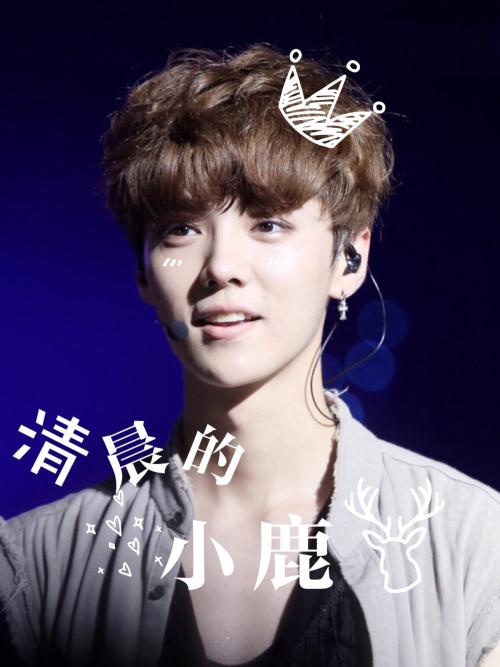 华语乐坛最具影响力的歌手鹿晗,鹿晗歌曲十佳歌手