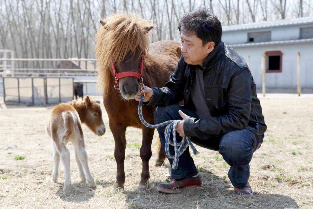 慈禧最爱的豌豆黄,慈禧最爱什么东西