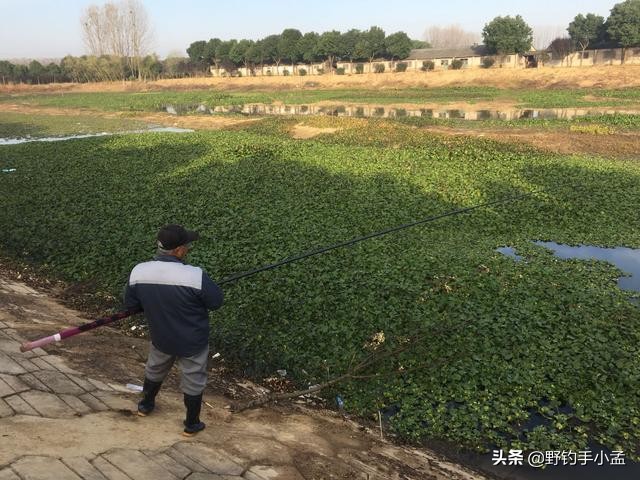 台钓手法,抬竿如何逗钓