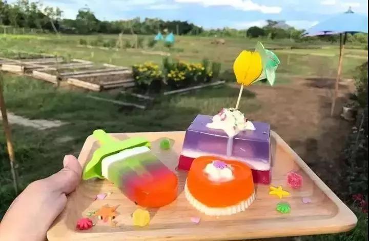 生态生物链家庭农场经营模式,农场盘活资产的最佳方法