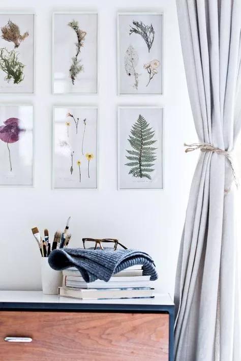 她用这种高颜值的干花装饰家里，隔壁邻居都惊叹不已