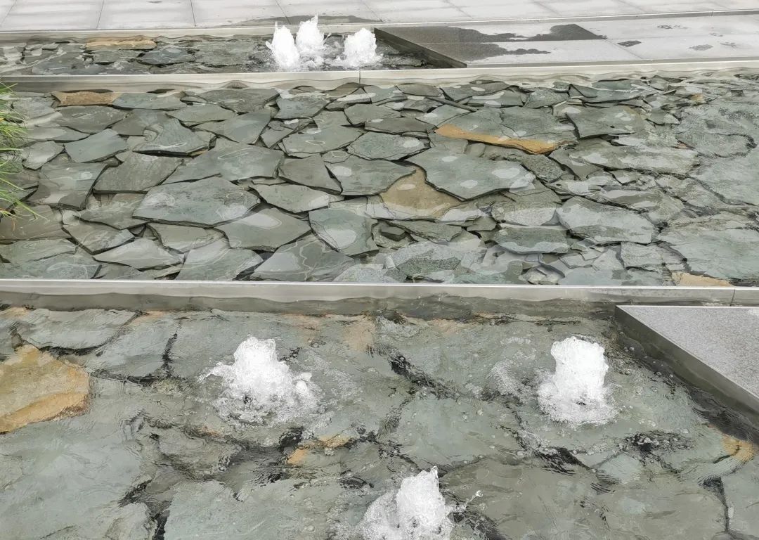 易境研学·重庆站|第二期