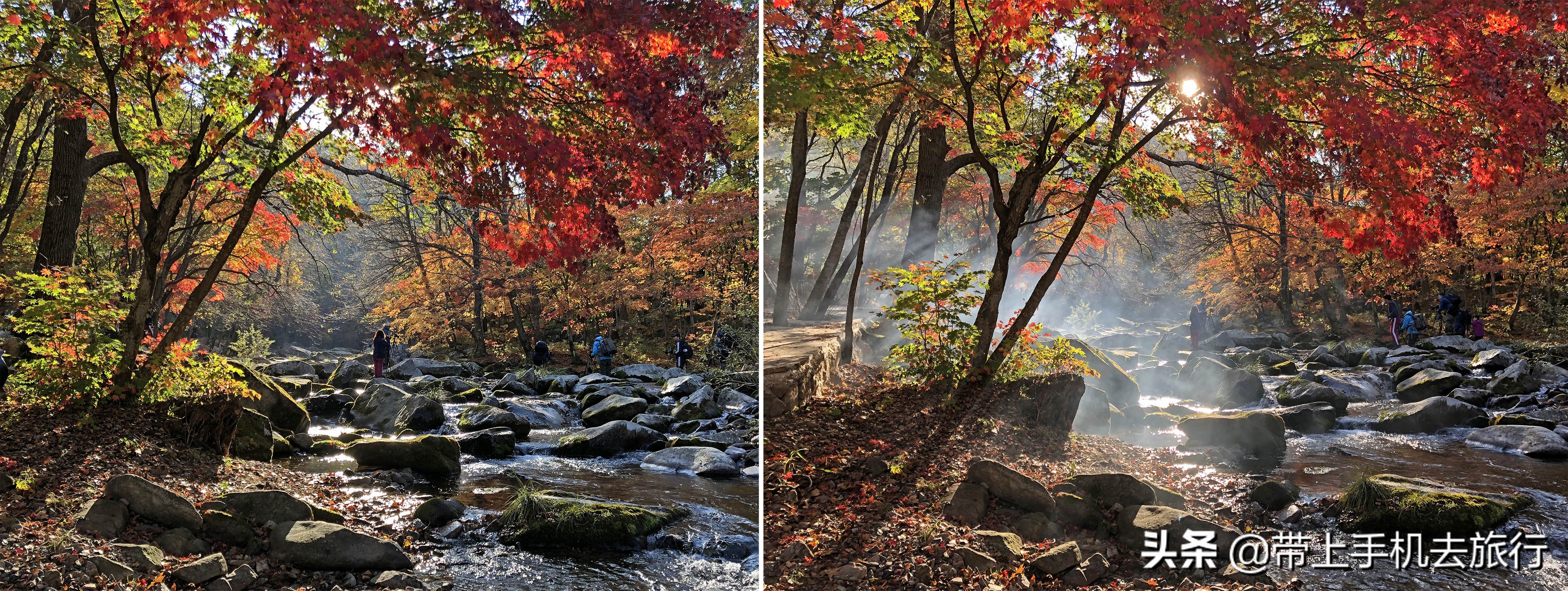 “减法”、虚化和“加法”,让画面瞬间干净简洁唯美