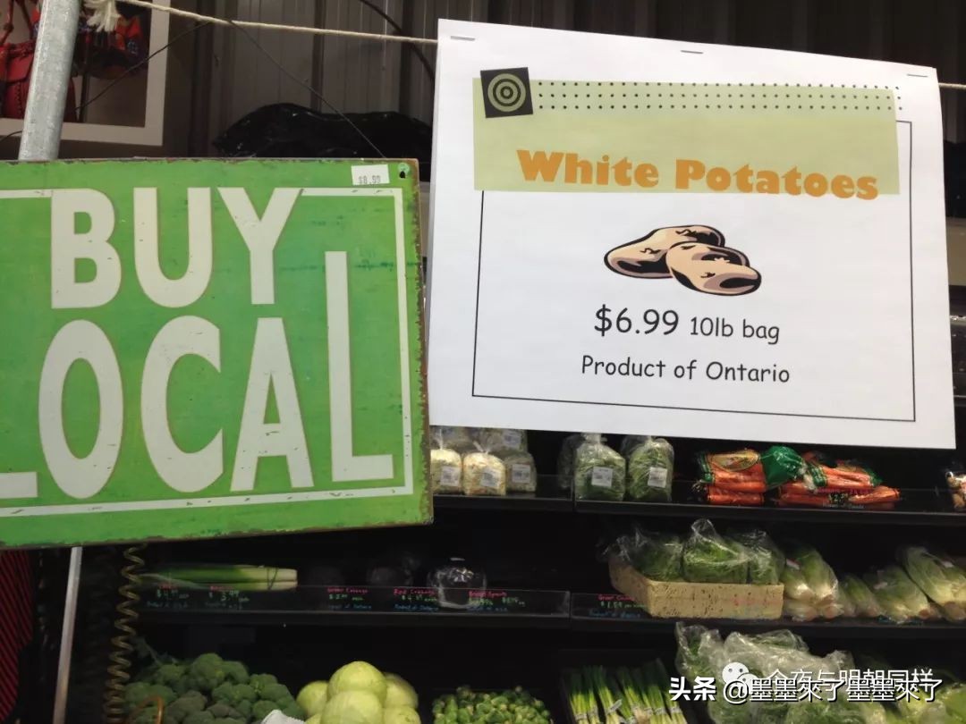 加拿大传统小店,加拿大温哥华特色店