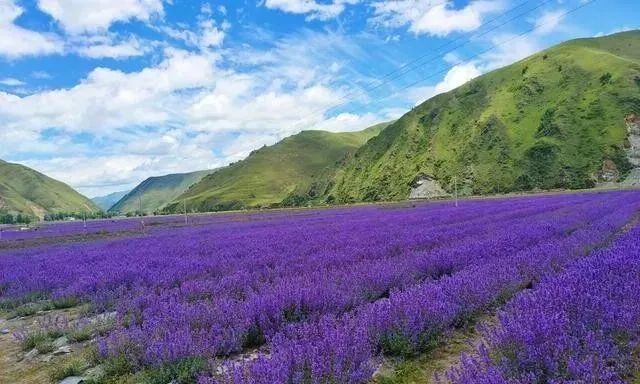 “蒸笼”天气重磅回归，今年夏天避暑纳凉的首选地当然还是康定！