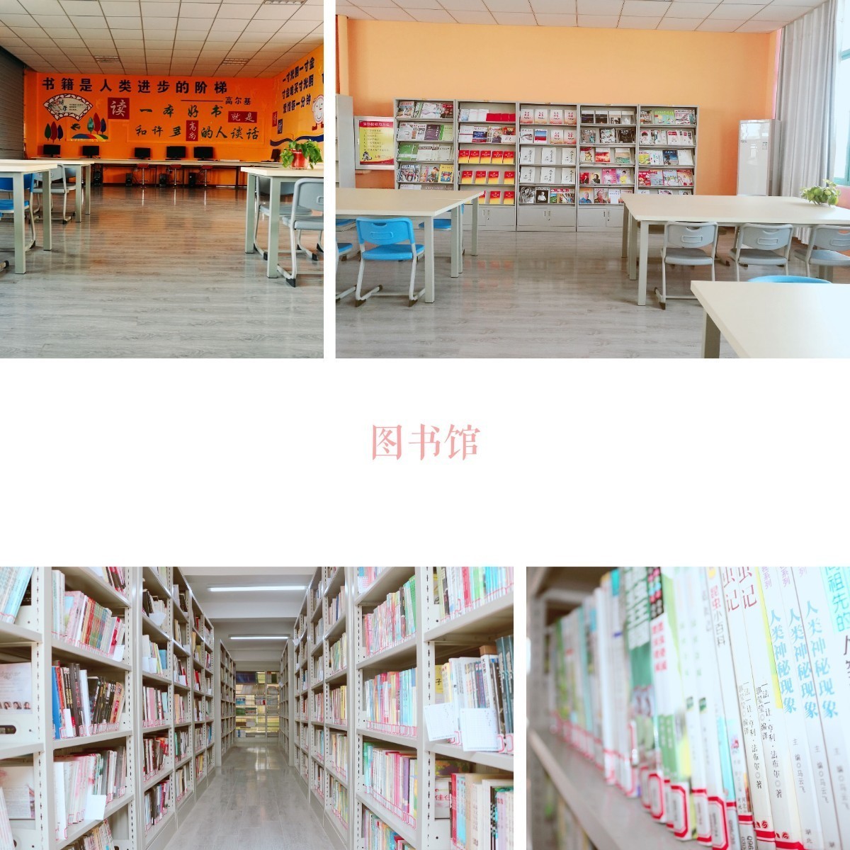 合肥新康中学百度,合肥新康中学公立私立