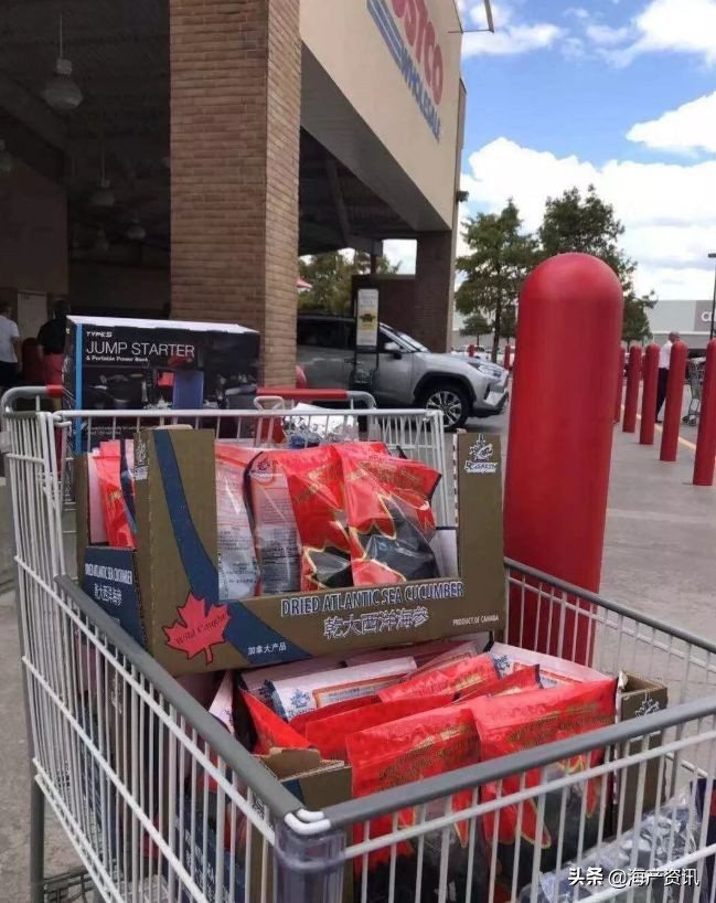 加拿大进口即食海参,加拿大即食海参500g6只左右