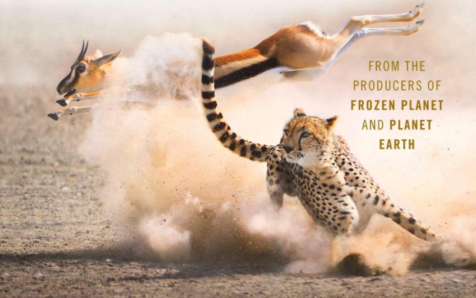 bbc高清4k纪录片推荐,bbc精品纪录片英文版