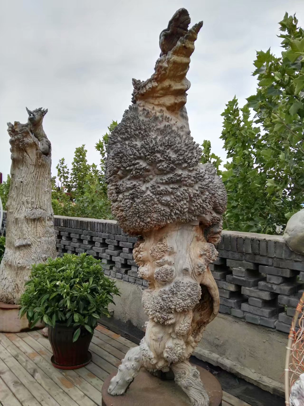 打卡食草堂,打卡素食茶馆餐厅