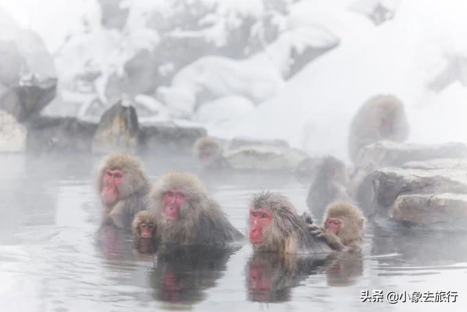 日本四国山旅游攻略,日本旅游胜地推荐