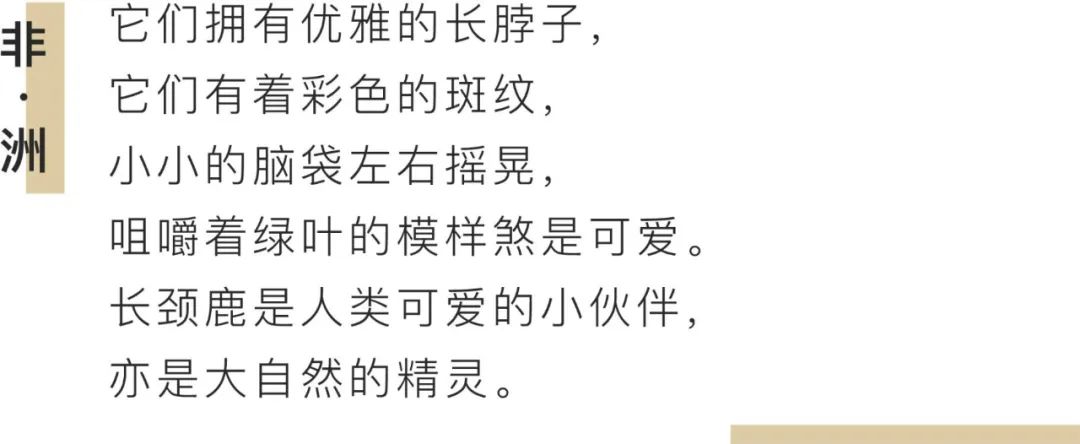 世间稀有的白色长颈鹿母子，在非洲被残忍猎杀，发现时只剩骨骼