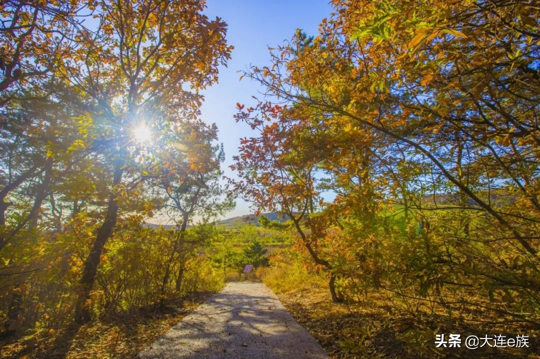 三寰牧场几月份闭园,大连旅顺三寰牧场闭园