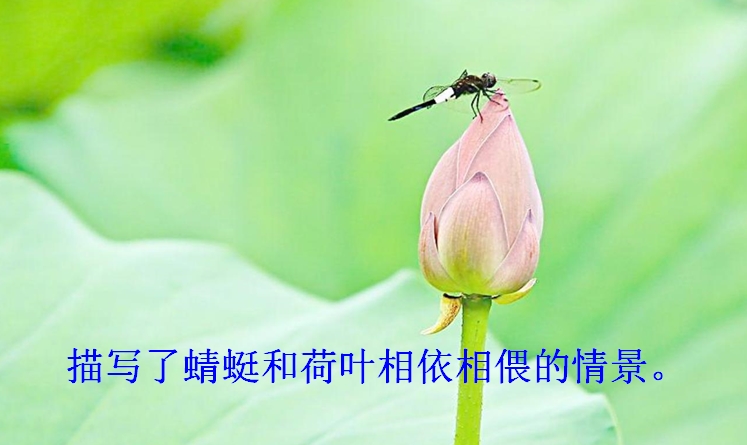 部编版语文一二三年级古诗文汇总,语文部编版二上古诗二首