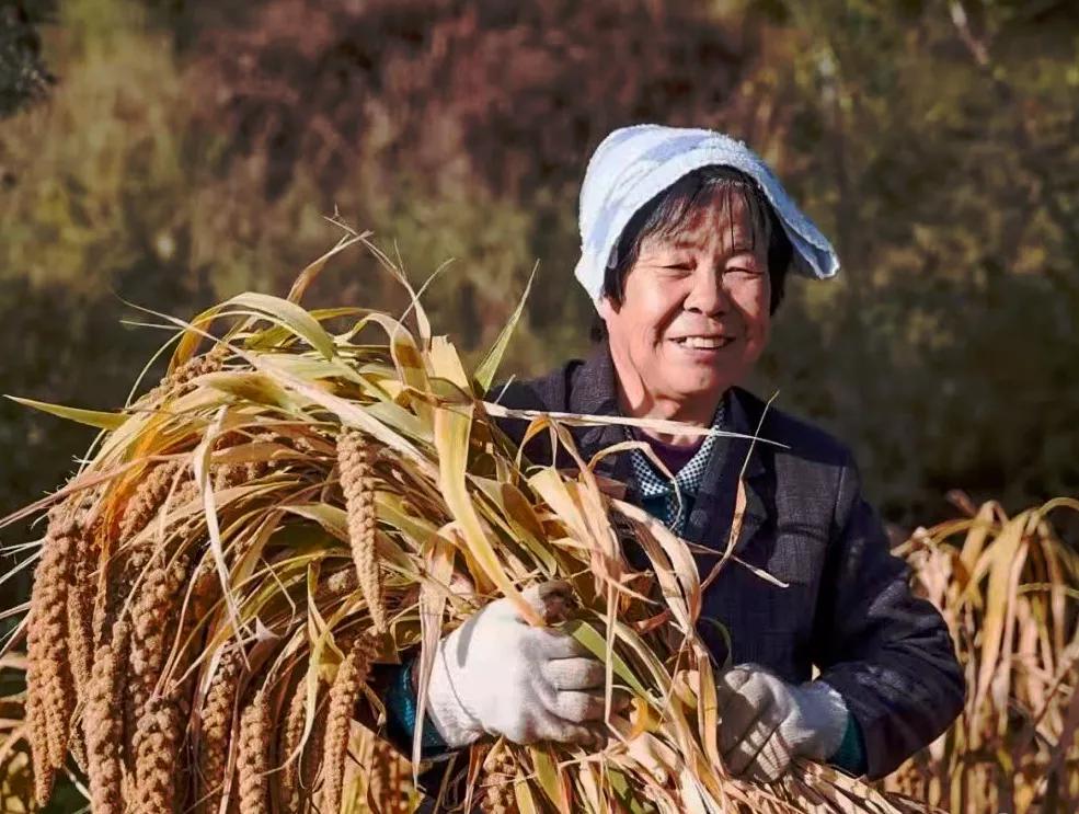 4年!196家门店!井陉人办的事!