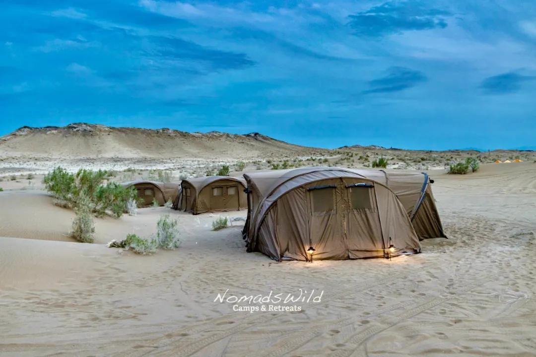 藏不住了!魔都9月,邂逅这58个宝藏惊喜