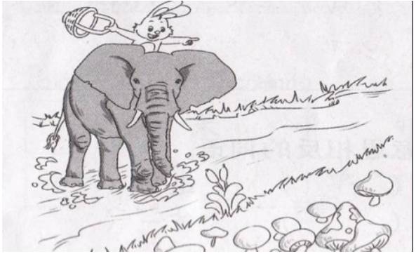 看图写话小孩不会学,小学生不会写看图写话怎么办