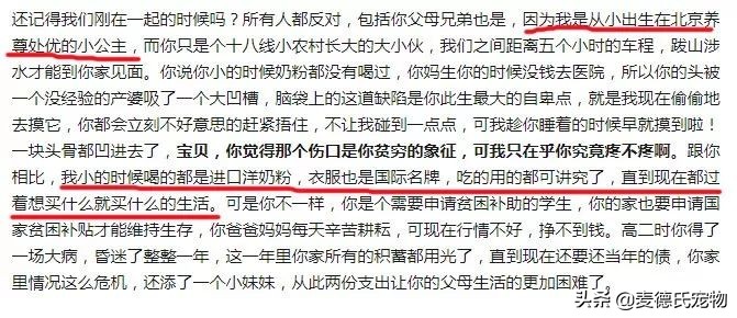 抖音里最火的网红猫,抖音上的几大网红猫