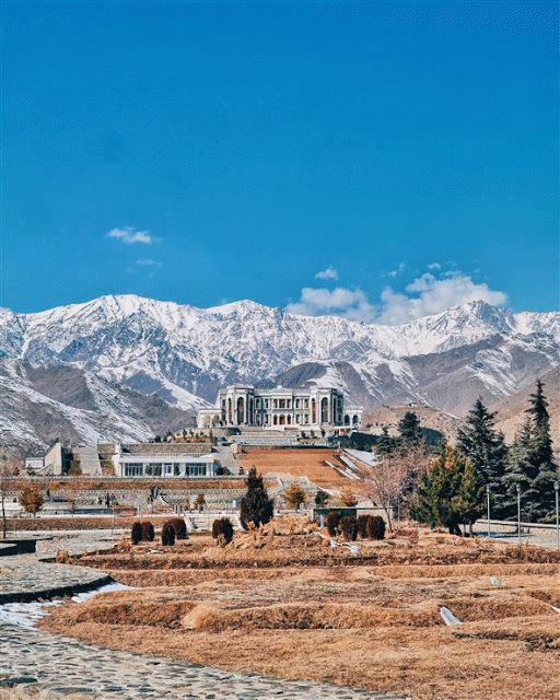 中国至今没被认全的20个邻居，个个身怀宝藏，你知道几个？