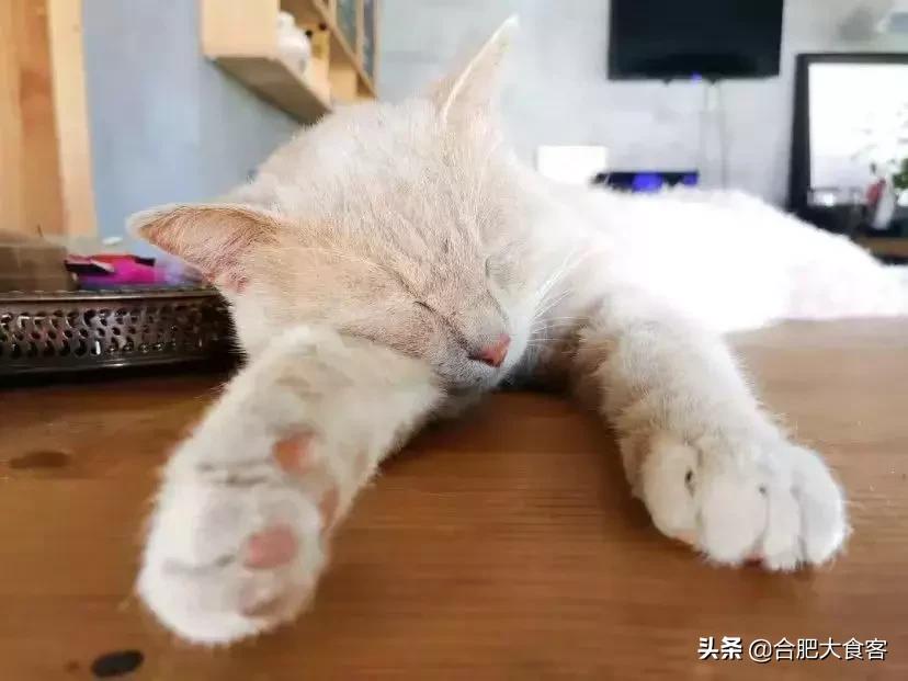 合肥有什么好玩的地方适合小朋友,春节合肥周边好玩的地方一日游